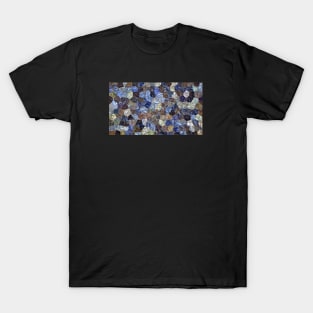 Mussels Abstract 1 T-Shirt